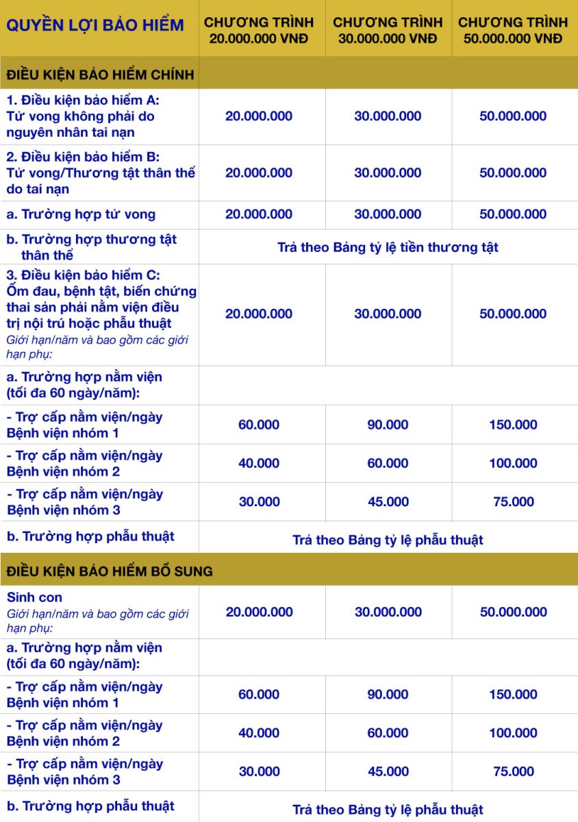 Bảng Quyền lợi bảo hiểm Bảo An Gia Đình Việt 2020