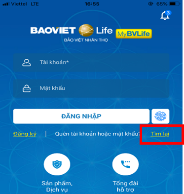 mybvlife