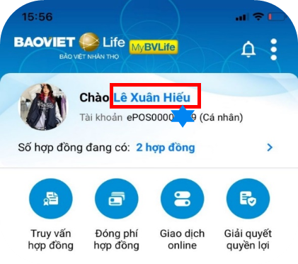 mybvlife