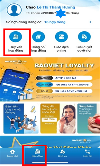 Mybvlife