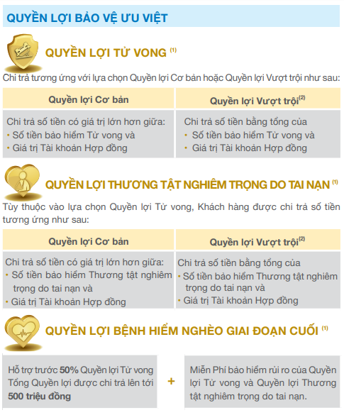 Quyền lợi ưu việt bảo vệ toàn diện của An Phát Cát Tường