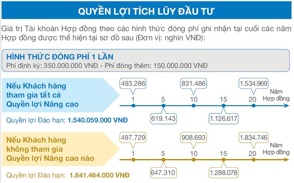 Quyền lợi tích lũy đầu tư An Phát Cát Tường đóng phí 1 lần