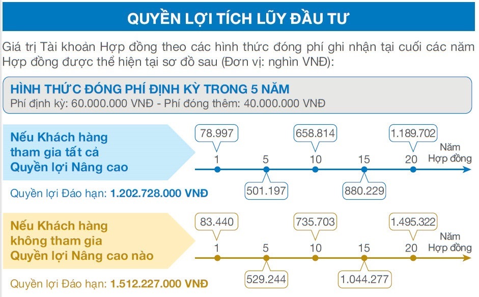 Quyền lợi tích lũy đầu tư An Phát Cát Tường đóng phí 5 năm