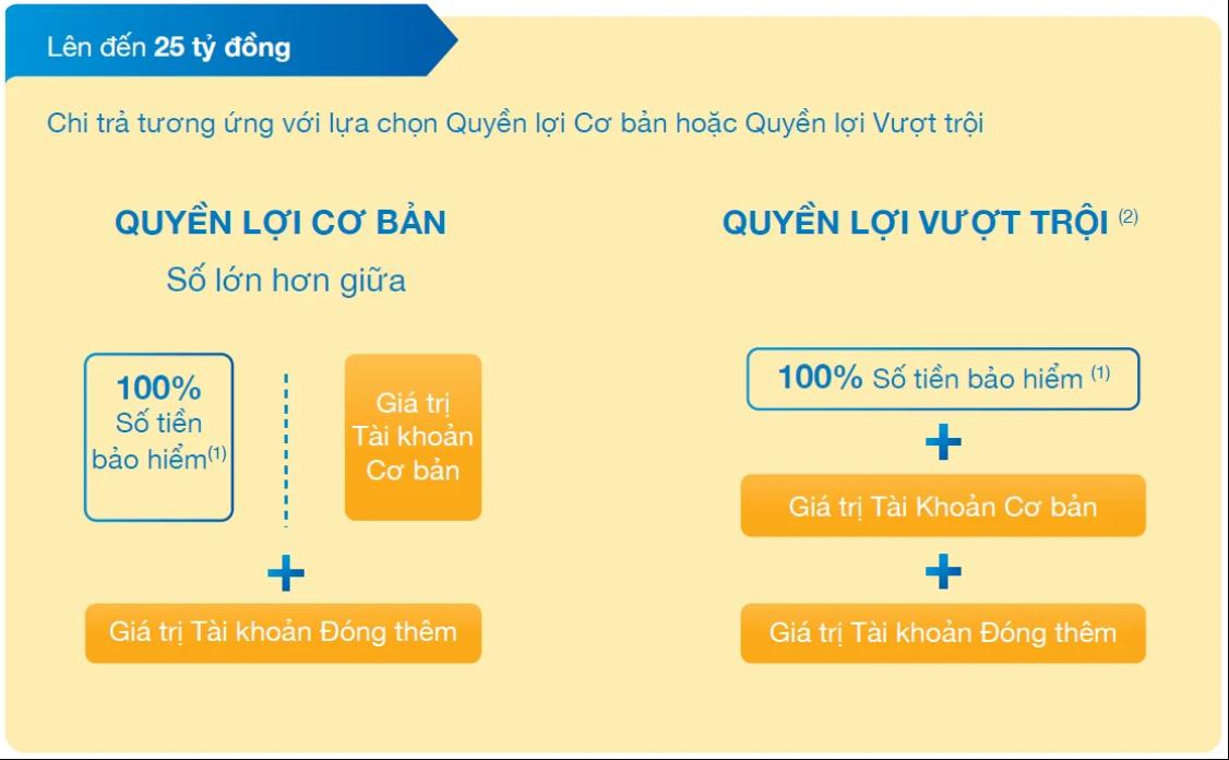 Quyền lợi bảo hiểm An Thịnh Phúc Niên
