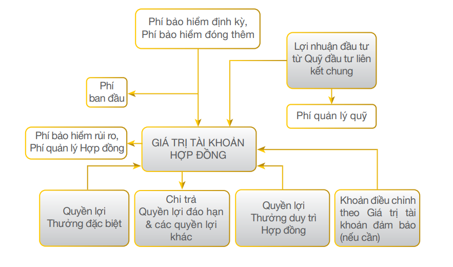 Cơ chế hoạt động của sản phẩm bảo hiểm An Khang Hạnh Phúc