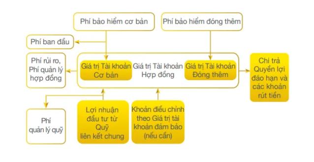 Cơ chế hoạt động bảo hiểm An Khang Như Ý